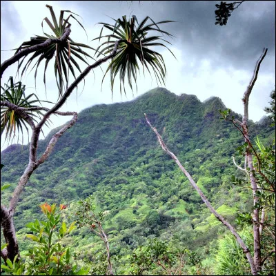 Où vivrais-tu si tu étais à Pyrrhia ?