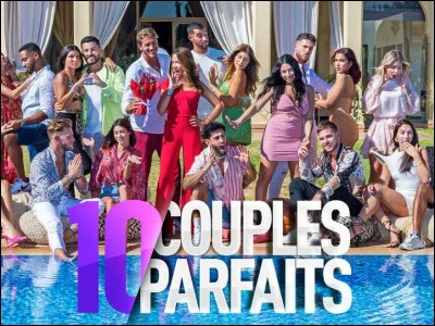 Quel est le but de l'émission de téléréalité « 10 Couples parfaits » ?