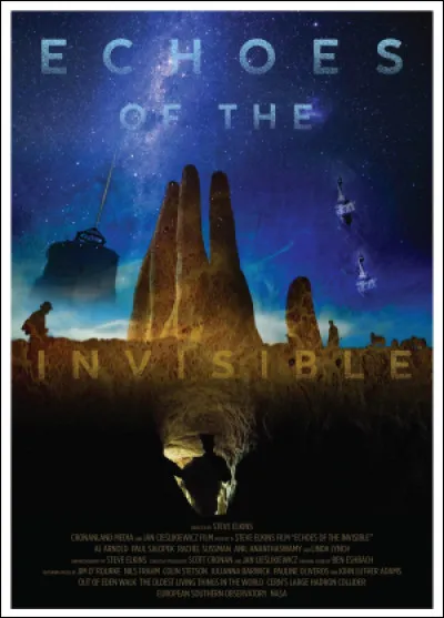 De quel pays est originaire le documentaire "Echoes of the Invisible" ?