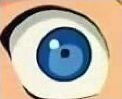 À qui appartient cet il ?