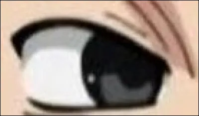 À qui appartient cet il ?