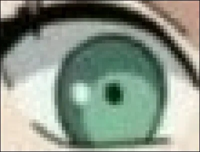 À qui appartient cet il ?