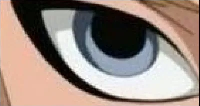 À qui appartient cet il ?