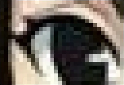 À qui appartient cet il ?