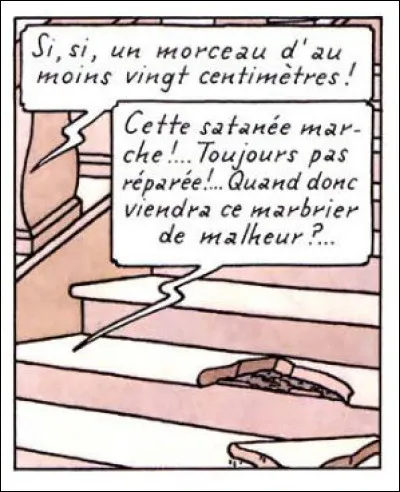 Qui a cassé la fameuse marche de l'escalier en marbre, dans "Les Bijoux..." ?