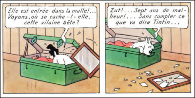 Les aventures de Tintin commencent tout juste et, dès la première page, ça casse ! Dans quel album ?