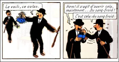 Fatalement, nous retrouvons nos deux lascars, les Dupondt, champions du gag ! Que va-t-il leur arriver, avec ce colis ?