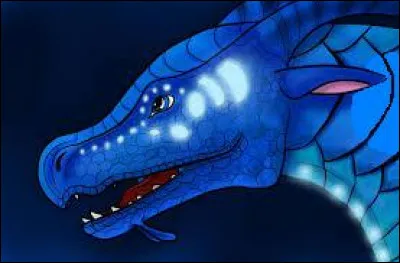 Enfin, qui a tué le Brankio le père d'Anémone et Tsunami ?