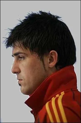 Qui est ce joueur de l'quipe d'Espagne ?