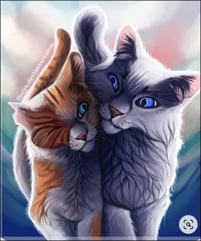 Si tu avais un compagnon ou une compagne, il/elle serait :