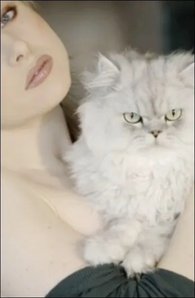 Préfères-tu Cur Blanc ou Feuille de Houx ?