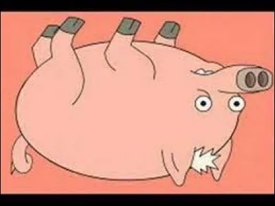 Spider-cochon peut grimper au plafond ! À quelle famille appartient-il ?