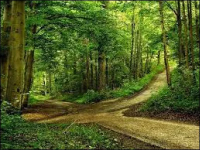 Complétez cette célèbre expression : "Tous les chemins...