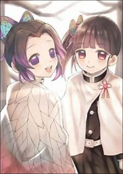 Ton personnage préféré est-il un humain ou un démon ?