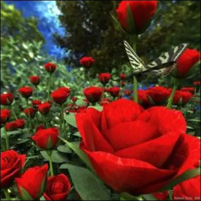 Je m'souviens on avait des projets pour la terre - Pour les hommes comme la nature !