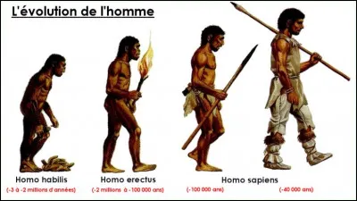 Je suis un homme de Cro-magnon - Je suis un singe ou un poisson !