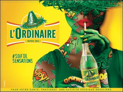 Je suis un gars ben ordinaire - Des fois j'ai plus le goût de rien faire !