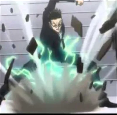 Quel type de nen poss&egrave;de Leolio ?