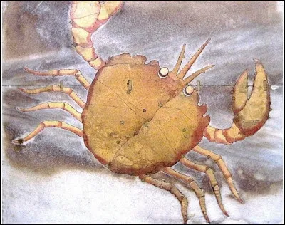 Quel est le signe astrologique d'une personne née le 30 juin ?