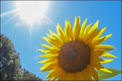 Dans l'hémisphère Nord, à quelle date commence l'été météorologique ?