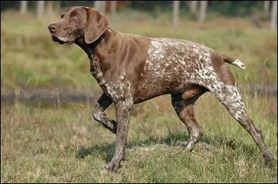 Pour Andrzej Zulawski, comment est, en 1985, l'Amour ?