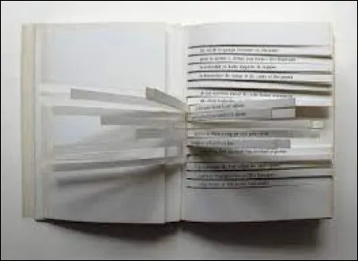 Qui a écrit le livre "Cent mille milliards de poèmes" ?