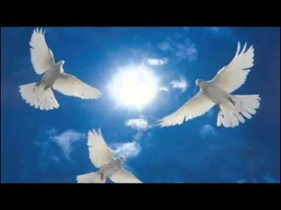 Qui chante "Mille colombes" ?