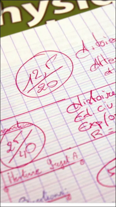 La directrice de ton collège ou de ton lycée te dit que si tu n'améliores pas tes notes, tu seras renvoyé(e). Quelle est ta réaction ?