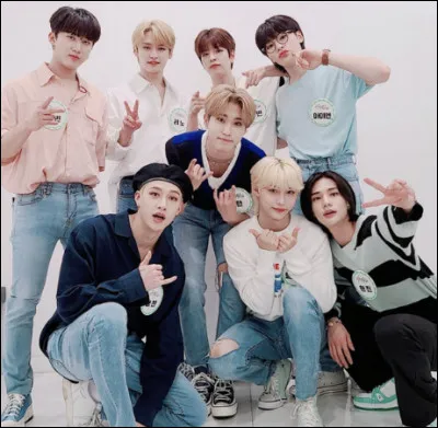 En quelle ann&eacute;e les Stray Kids ont fait un concert &agrave; Paris ?