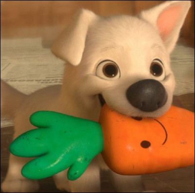 Qu'il est mignon ce petit chiot ! Il joue souvent avec une carotte qui fait du bruit. Mais à qui appartient-il ?