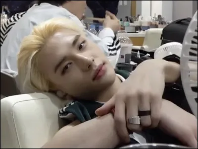 Quel est ton animal pr&eacute;f&eacute;r&eacute; ?