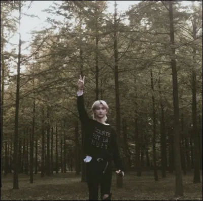 Quelle est ta couleur pr&eacute;f&eacute;r&eacute;e ?