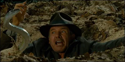 De quoi a peur Indiana Jones ?