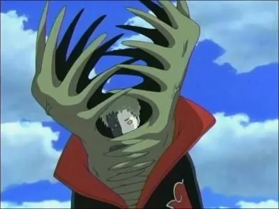 Qui est le partenaire de Zetsu ?