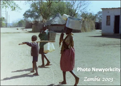 Quelle est cette ethnie minoritaire rurale de Zambie vivant près des chutes Victoria, principalement dans le village de Mukuni ?