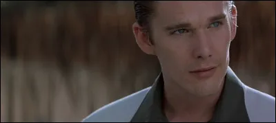 Dans quel film Ethan Hawke est-il un peintre amoureux d'une femme qu'il connait depuis l'enfance ?