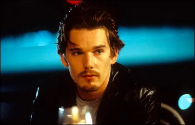Dans quel film Ethan Hawke propose-t-il à une femme de visiter Vienne avec lui ?
