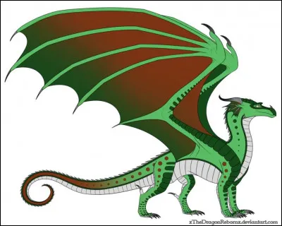 Dans ces images qui est Kinkajou ?