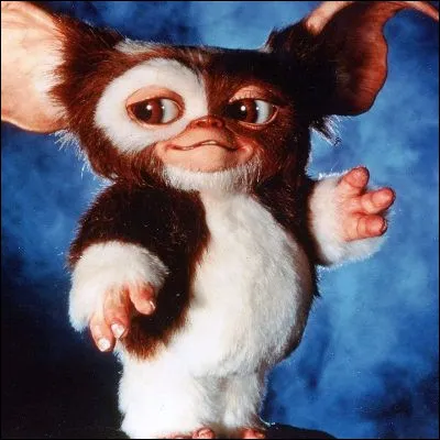 Dans quel film apparaît Gizmo le mogwaï ?