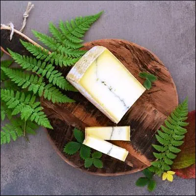 Quel fromage français doit son nom à une commune du département du Jura ?