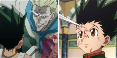 De quelle couleur sont les cheveux de Gon ?