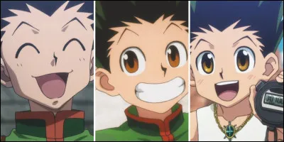 Quel est le pouvoir de Gon ?