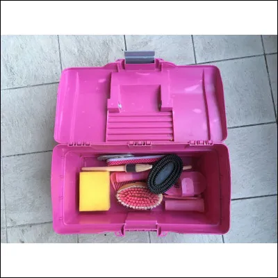 Avec quelle brosse commençons-nous le pansage ?