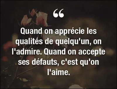 Quelle est ta plus grande qualité ?