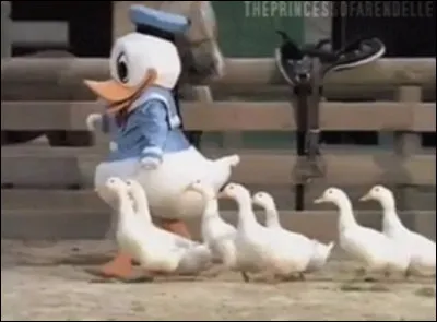 Quel type de leader es-tu ?