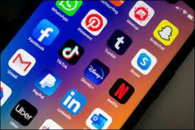 Le réseau social que tu préfères est :