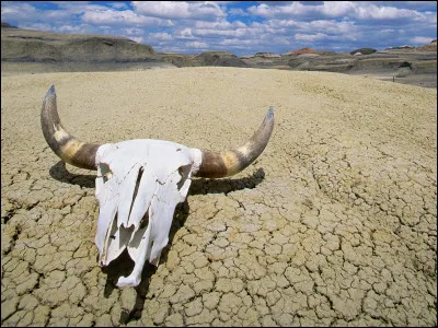 Quelle est la température la plus élevée à la surface de la Terre, enregistrée aux États-Unis à Furnace Creek dans la Vallée de la Mort ?