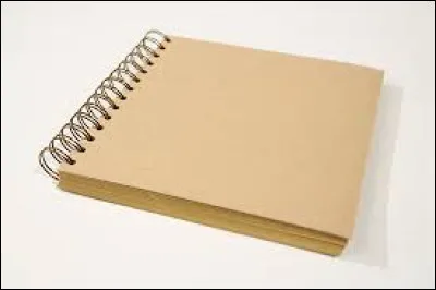 Qui a chanté "Le Carnet à spirale" ?