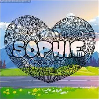 Comment s'appelait le mari (vétérinaire) de Sophie (médecin) dans la série télé diffusée sur TF1 de 87 à 92 ?