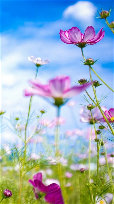 Un ami te propose d'aller à la piscine...